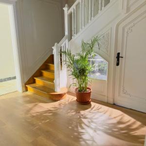 Nilefront 3BR Steps fromTahrir Sq Zamalek island