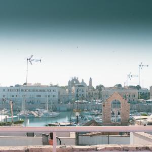 Il Giardino della Giudecca Trani
