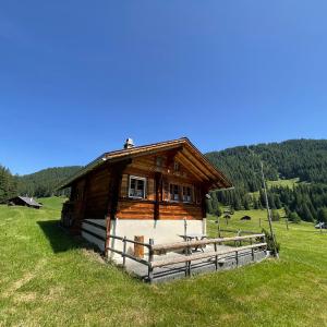 Peter's Hütte in Hasliberg Bidmi