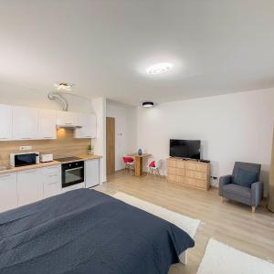 Danube river flat with balcony,free garage