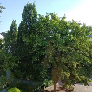 Ruhiges Appartment am Stadtpark