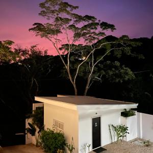 CASITA COCO