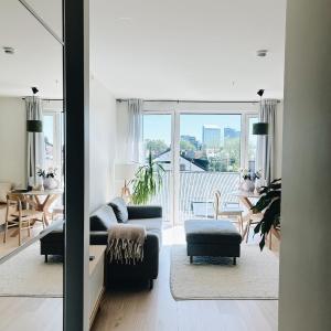 Modern apartment with big rooftop terrace
