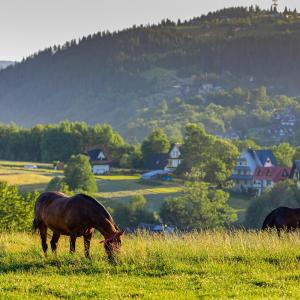 Siedlisko u Magdy Zakopane z widokiem na Tatry
