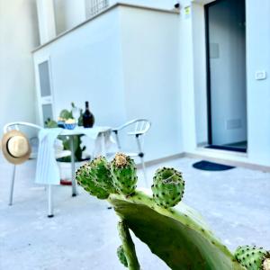 VISCHI Roof con TERRAZZO e vista