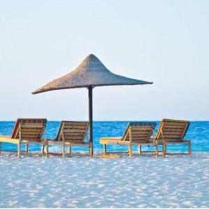Luxury apartment New Alamien