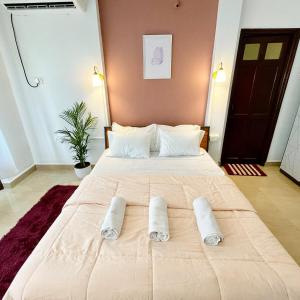 The Driftwood Dan Studio Flat WiFi colva