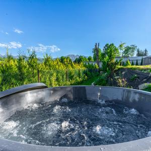 Apartamenty z widokiem - Jacuzzi - Willa Króle by Apartamenty Zakopiańskie