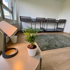 Wohnestate GmbH - Modern Living