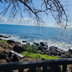 Absolute Oceanfront Tourist Park