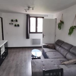 Maison avec jardin et garage