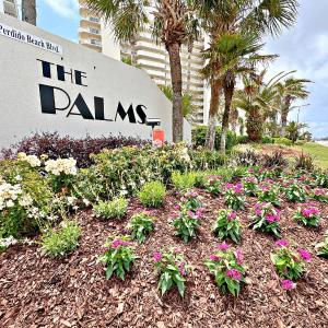 The Palms