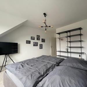 Zentrales hochwertiges Apartment Thomasius