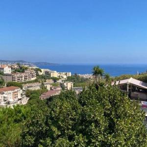 Sea-view rooftop terrace apartment, Nice