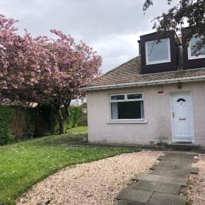 Stag's View Lodge