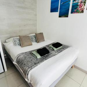 charmante petite studette au centre de nice climatise