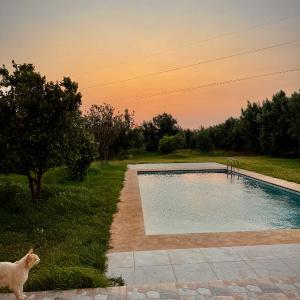 Villa amina