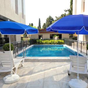 Suit Diker Port Residence 2