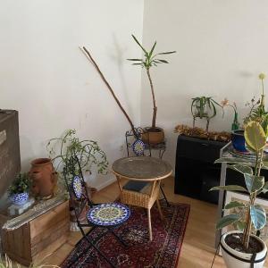 Gemütliche und mit Charme eingerichtete Wohnung