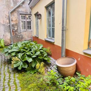 TallinnHousing Luxury SPA House with Sauna and Small Pool Old Town