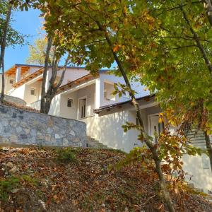 Vila Haxhaj