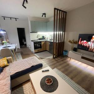 Veskovski-apartment in the center of Skopje