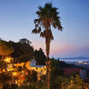 Orea Ellas Kos - Apartments & Bistro-Café