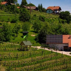 Holiday home in Otocec Kranjska Krain 42907