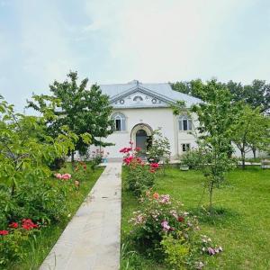 Big yard white villa AYT
