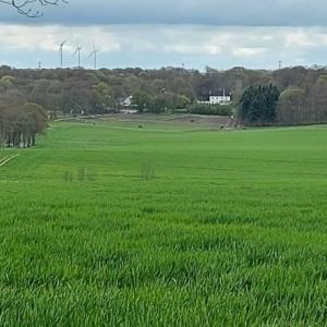 Christianslund Horsefarm