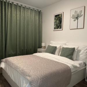 Cozy Modern Apartment, 20 mins to Center