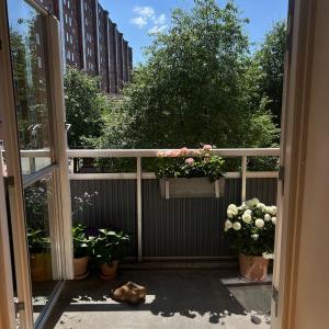 Bright, child-friendly, balcony, 50 meters from the subway
