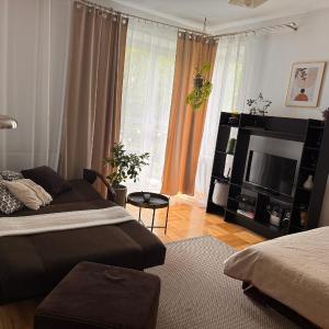 Waszyngtona, Boho studio