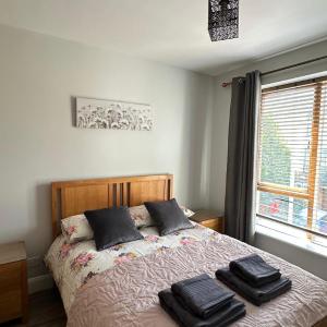 Bright Spacious Apartment