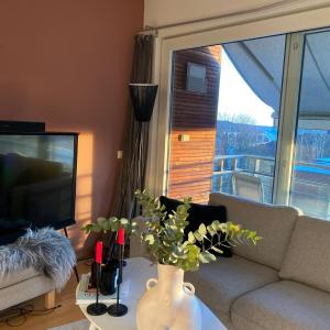 Sunny balcony, central, fresh