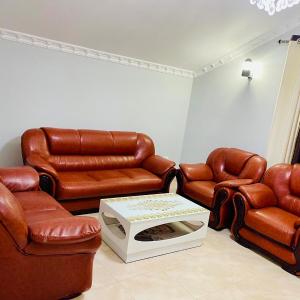 Albi guests House Tirana