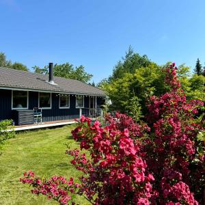 Experience Real Summer Idyll At Drageholmen 3