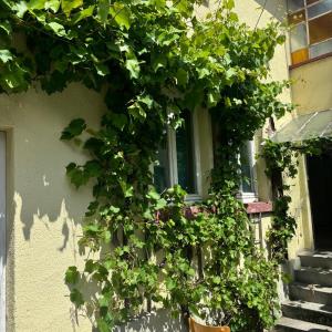 HS4 Cozy Unit Kelkheim