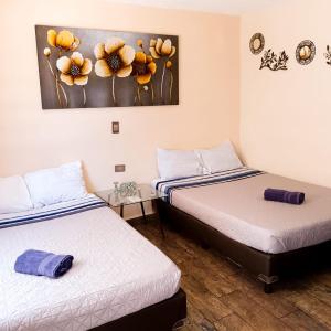 Cómoda y acogedora suite, Paseo Durango
