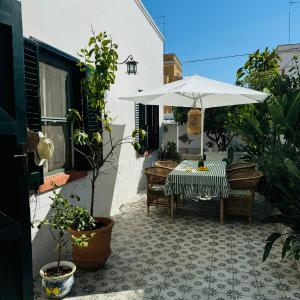 Casa Sasa