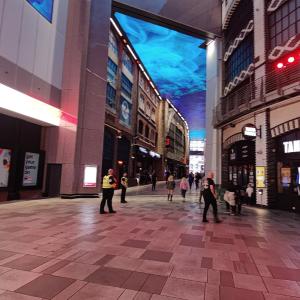 Bee Apartment Halo - Work N Relax 500Mbps WiFi and Netflix - City Centre with Paid Private Parking and Balcony