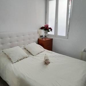 Centrico Wifi 2 Habitaciones