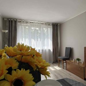 Apartament Słoneczna Mazurska