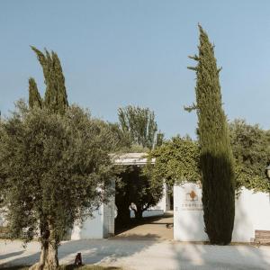 Cortijo de Enmedio