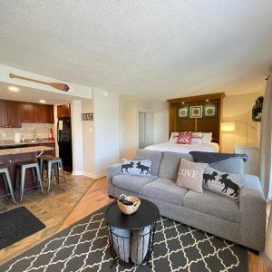 Modern Mountainside Ski In/Ski Out Studio at Blue