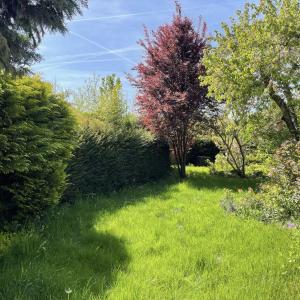 Entire house with garden - exclusively for your group