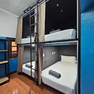 One Day Trip Hostel
