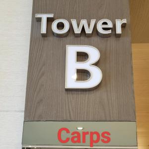 Carps Staycation