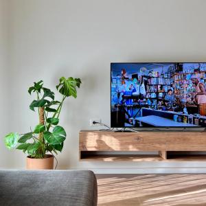 TOKAapartment2