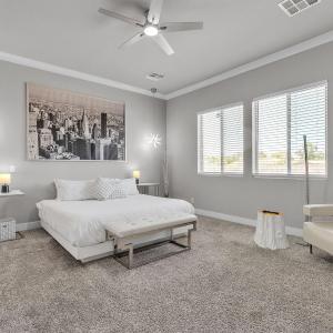 Viva Oasis - A Modern Sanctuary